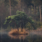 DSC_8933-bewerkt-bewerkt