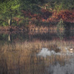 Stacked from 3 images. Method=B (R=8,S=2)