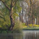 DSC_4802-Enhanced-NR-bewerkt