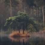 DSC_8933-bewerkt-bewerkt